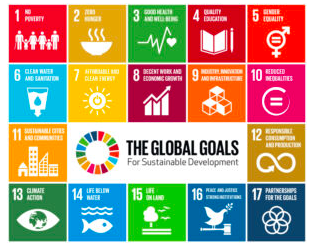 How Coaches Can Start to Work with the UN Sustainable Development Goals