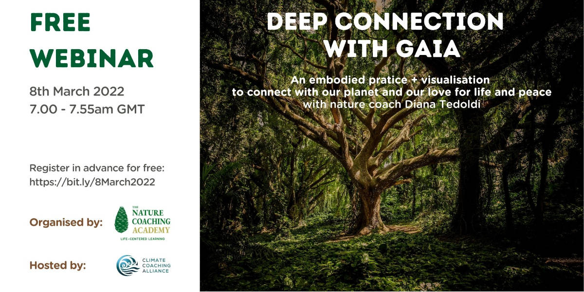 DEEP CONNECTION WITH GAIA