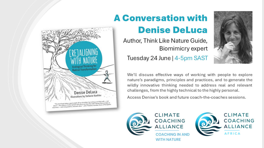 A Conversation with Denise DeLuca – author, Think Like Nature Guide, & Biomimicry expert