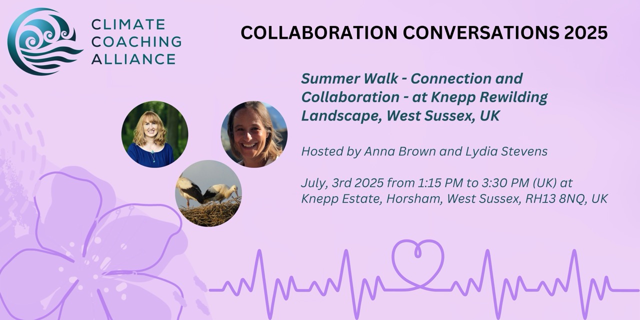 Summer Walk – Connection and Collaboration – at Knepp Rewilding Landscape, West Sussex, UK