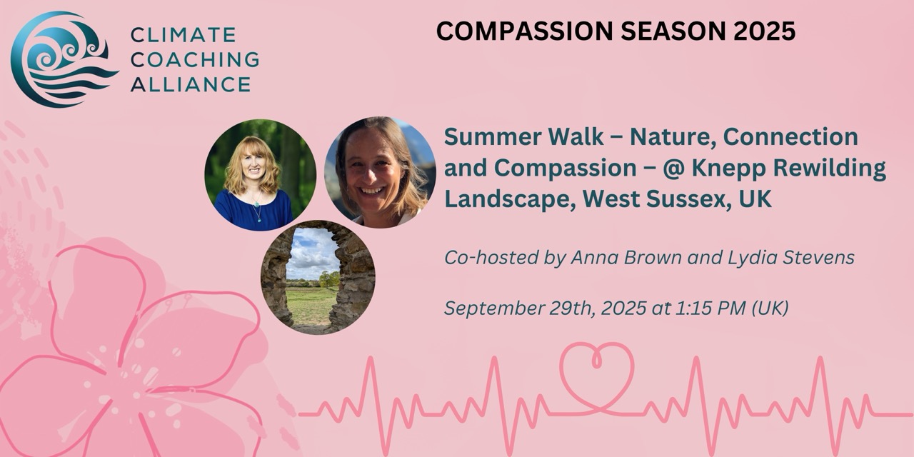 Autumn Walk – Nature, Connection and Compassion – @ Knepp Rewilding Landscape, West Sussex, UK