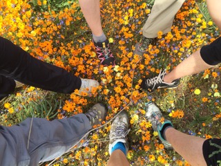 Footprints of the Soul: A Way of Walking