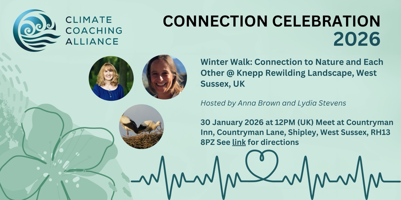 Winter Walk: Connection to Nature and Each Other @ Knepp Rewilding Landscape, West Sussex, UK