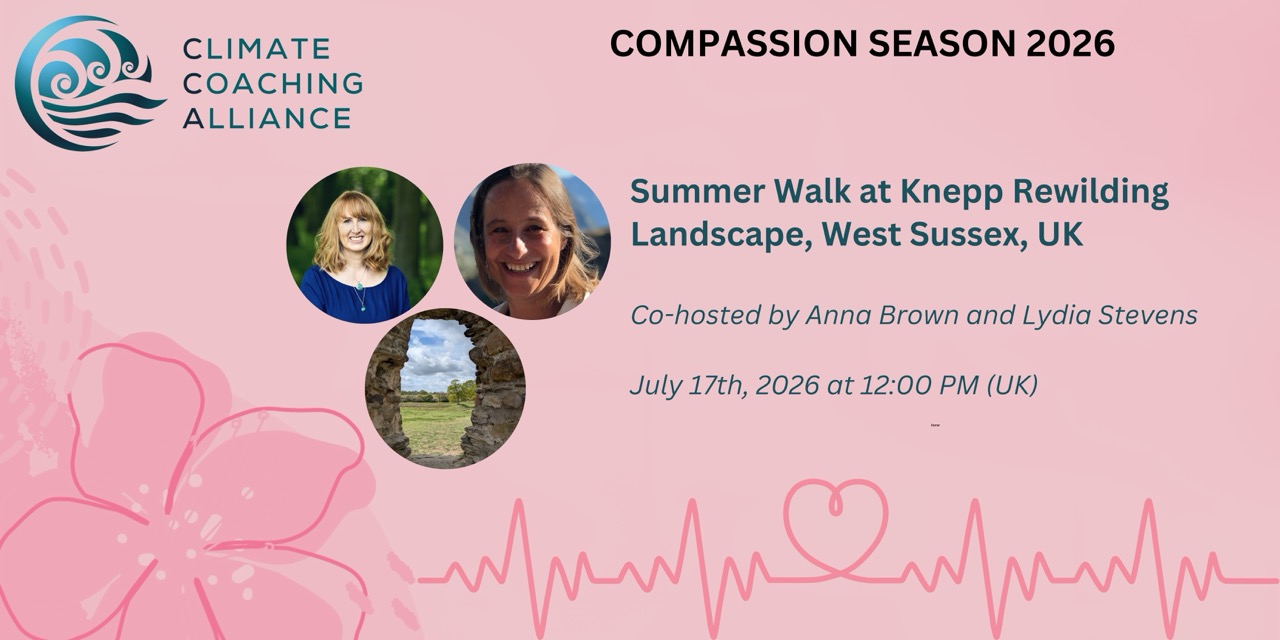 Summer Walk at Knepp Rewilding Landscape, West Sussex, UK