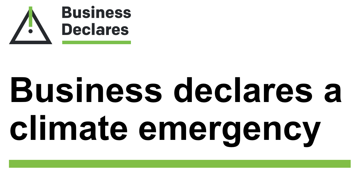 Business Declares a Climate and Ecological Emergency – Stories of Leaders Taking Action