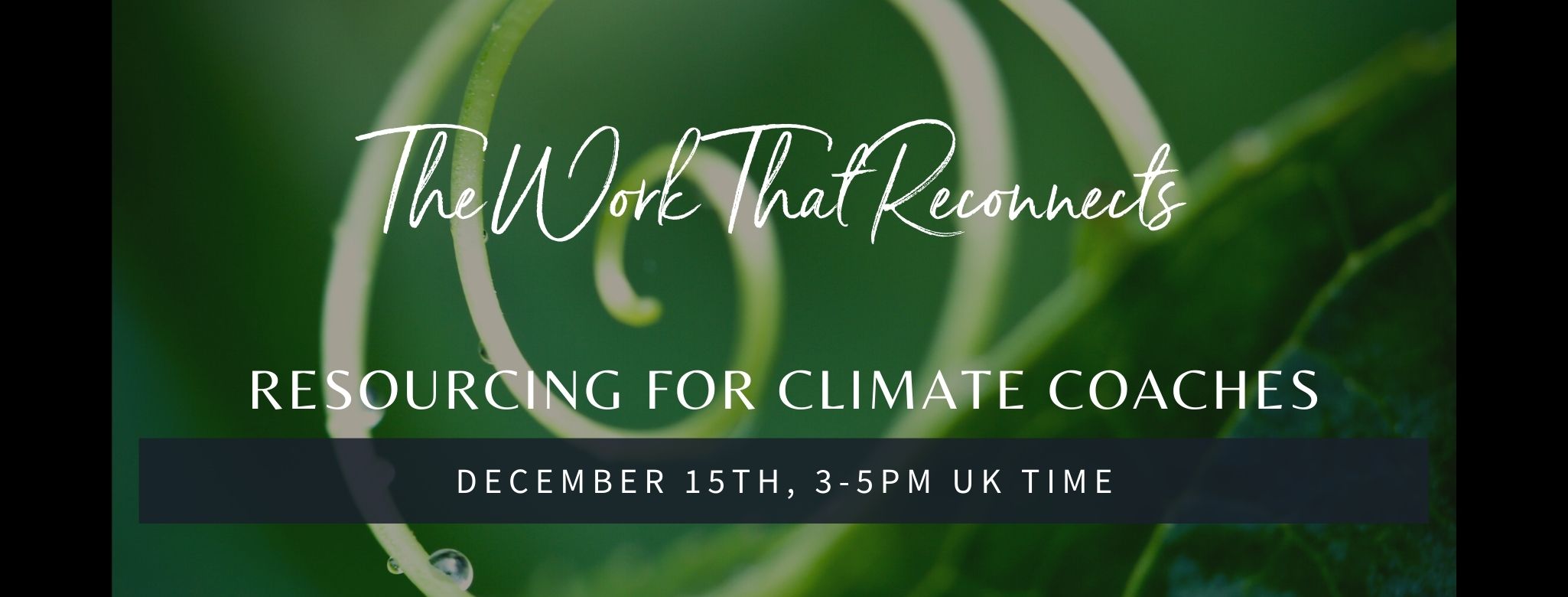 The Work That Reconnects: Resourcing for Climate Coaches