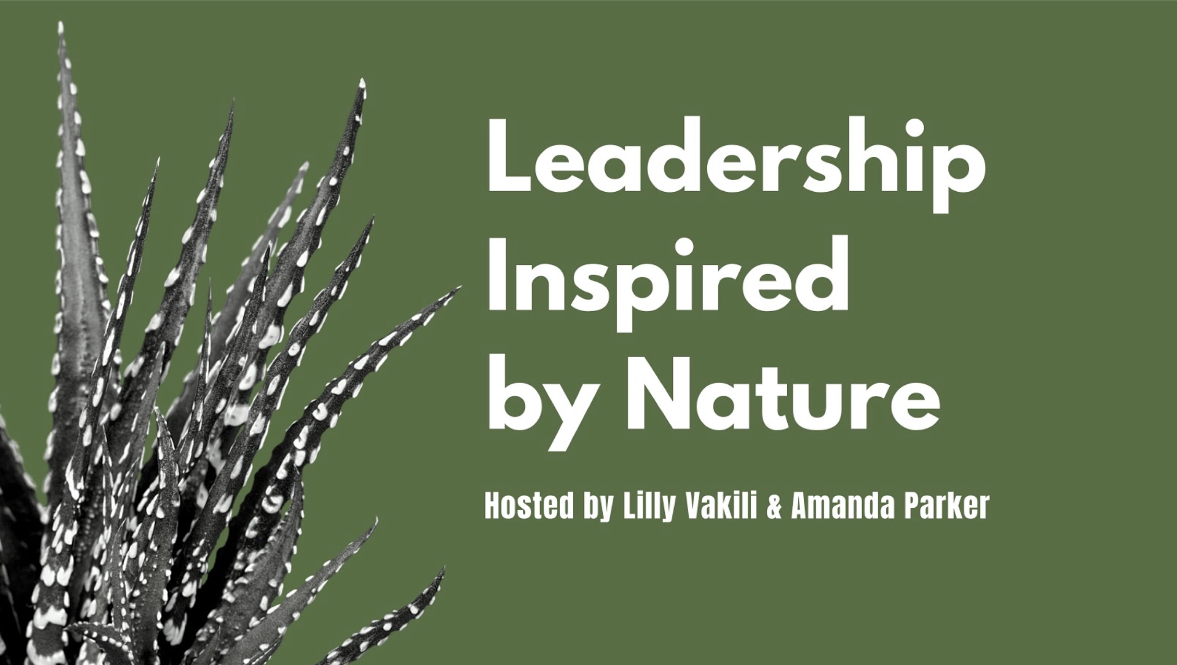 A Conversation About Leadership Inspired by Nature