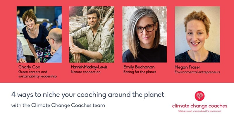 4 Ways to Niche Your Coaching Around The Planet