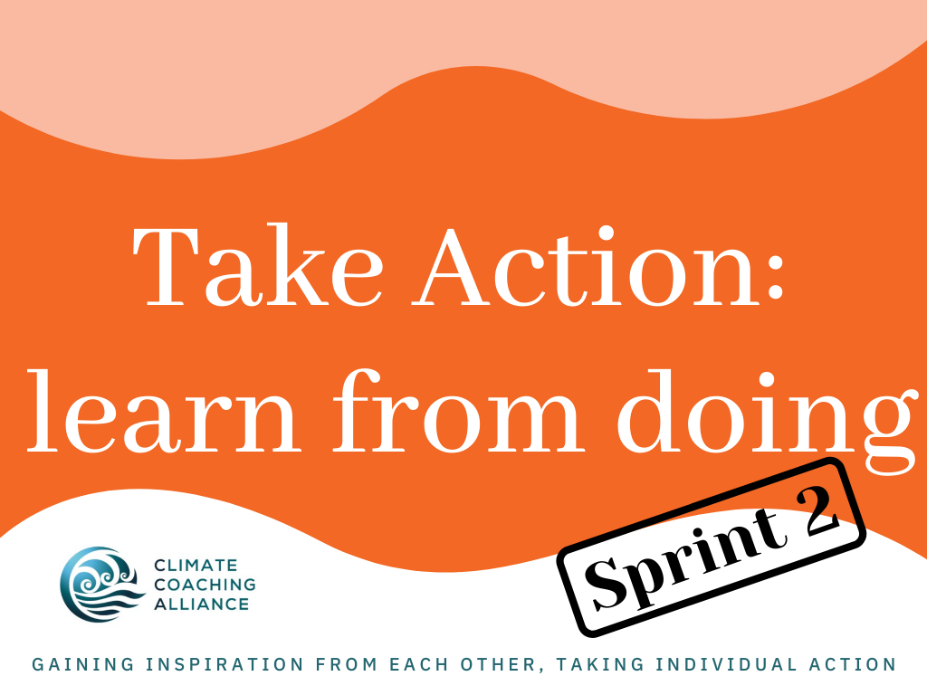 Take action: learn from doing