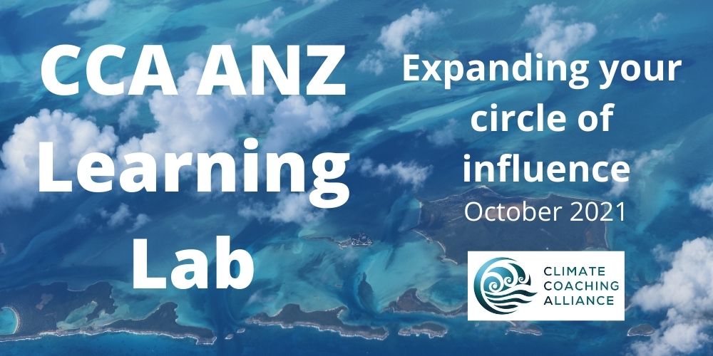 CCA ANZ Learning Lab – Antidote to being an armchair despairer