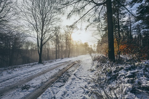 Climate Café – UK Yorkshire Region