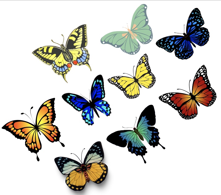 From Caterpillar to Butterfly – How training can help you bring climate into your coaching