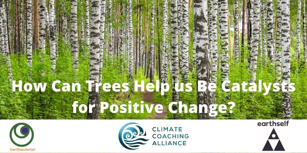 How can trees help us to be catalysts for positive change?