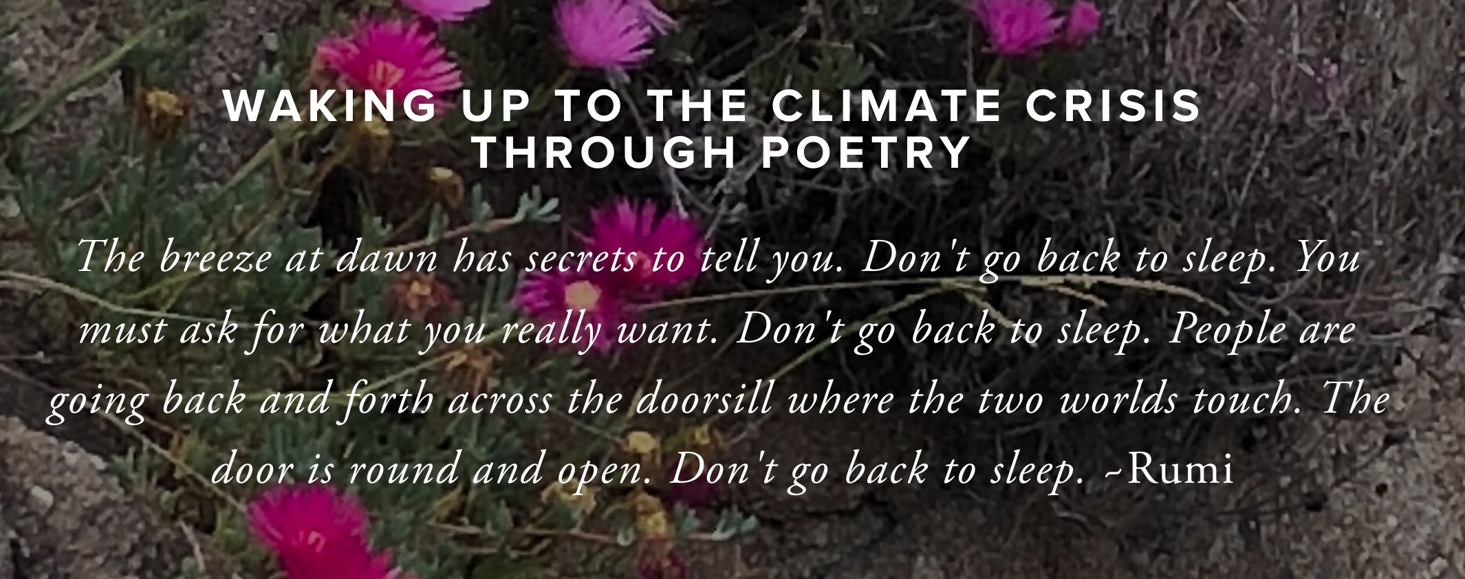 Waking Up to the Climate Crisis through Poetry
