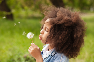 Mindfulness, nature and climate education summit