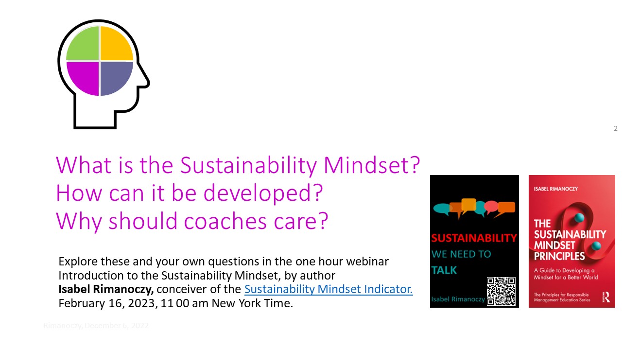 Introduction to the Sustainability Mindset