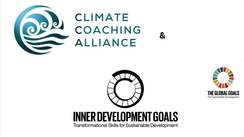 What would it be like to play into the Inner Development Goals (IDGs) with awareness and discovery?
