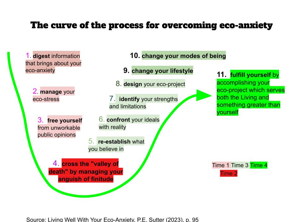 Transforming Eco-Anxiety Pod: Making Eco-Engagements