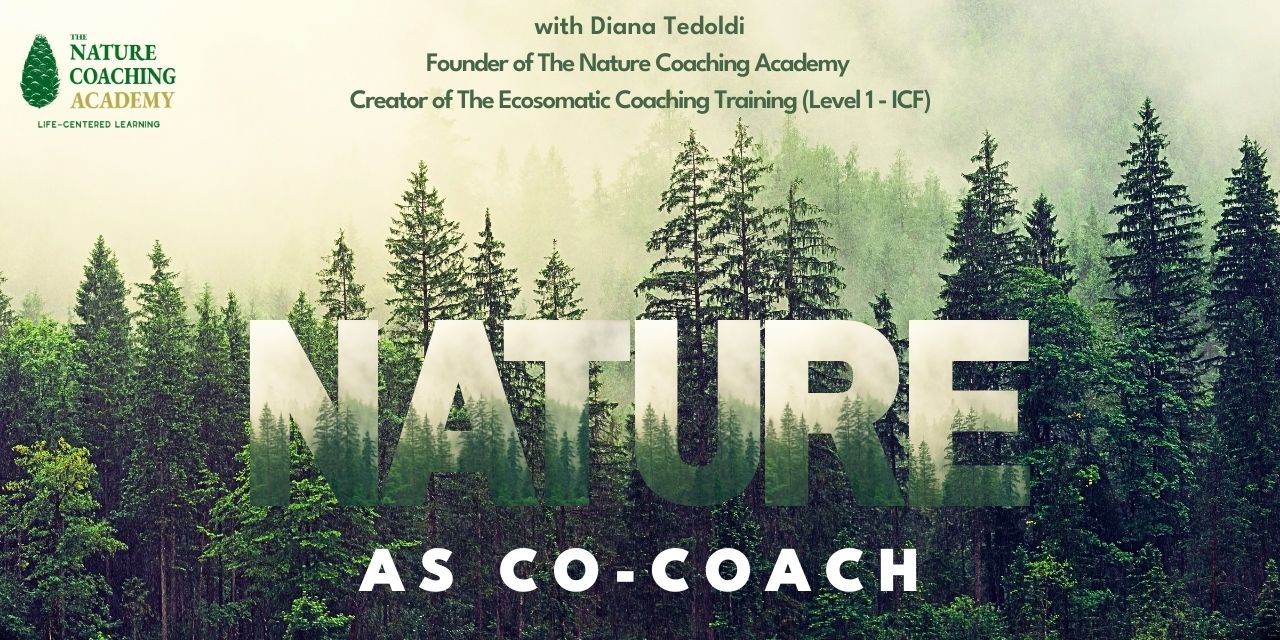 Nature as co-coach: practices for a deeper dialogue with our living planet