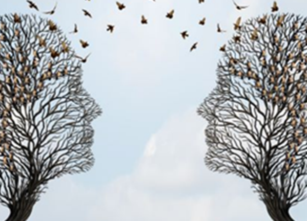 POLITICAL POD: REFLECT – CONNECT – ACT