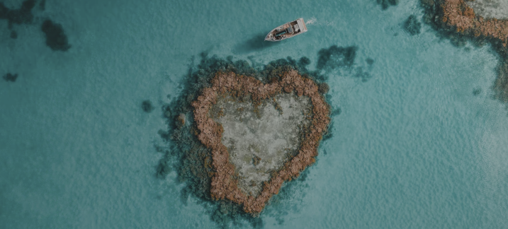 CCA Compassion Community of Practice (CCoP) 27th April 2026