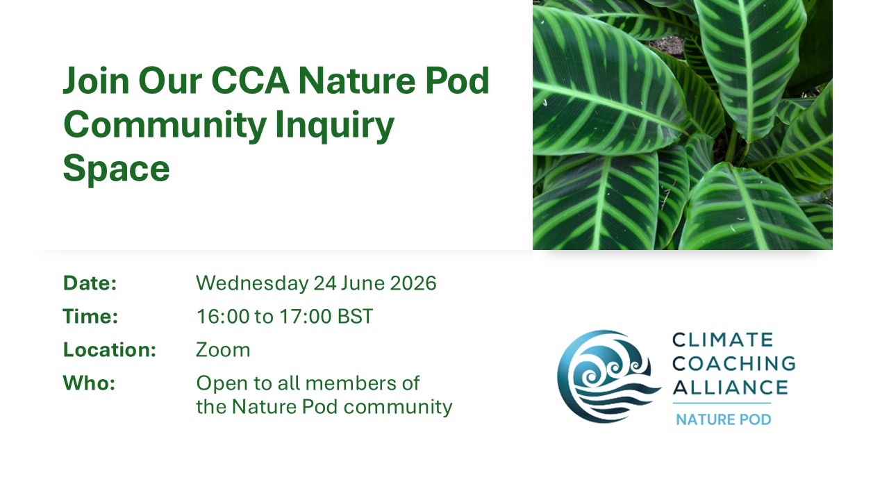 Nature Pod Community Inquiry Space