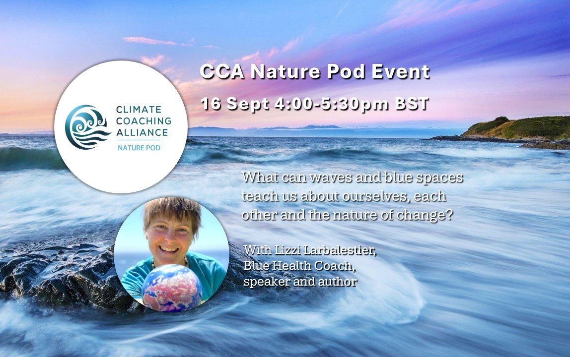 What can waves and blue spaces teach us about ourselves, each other and the nature of change