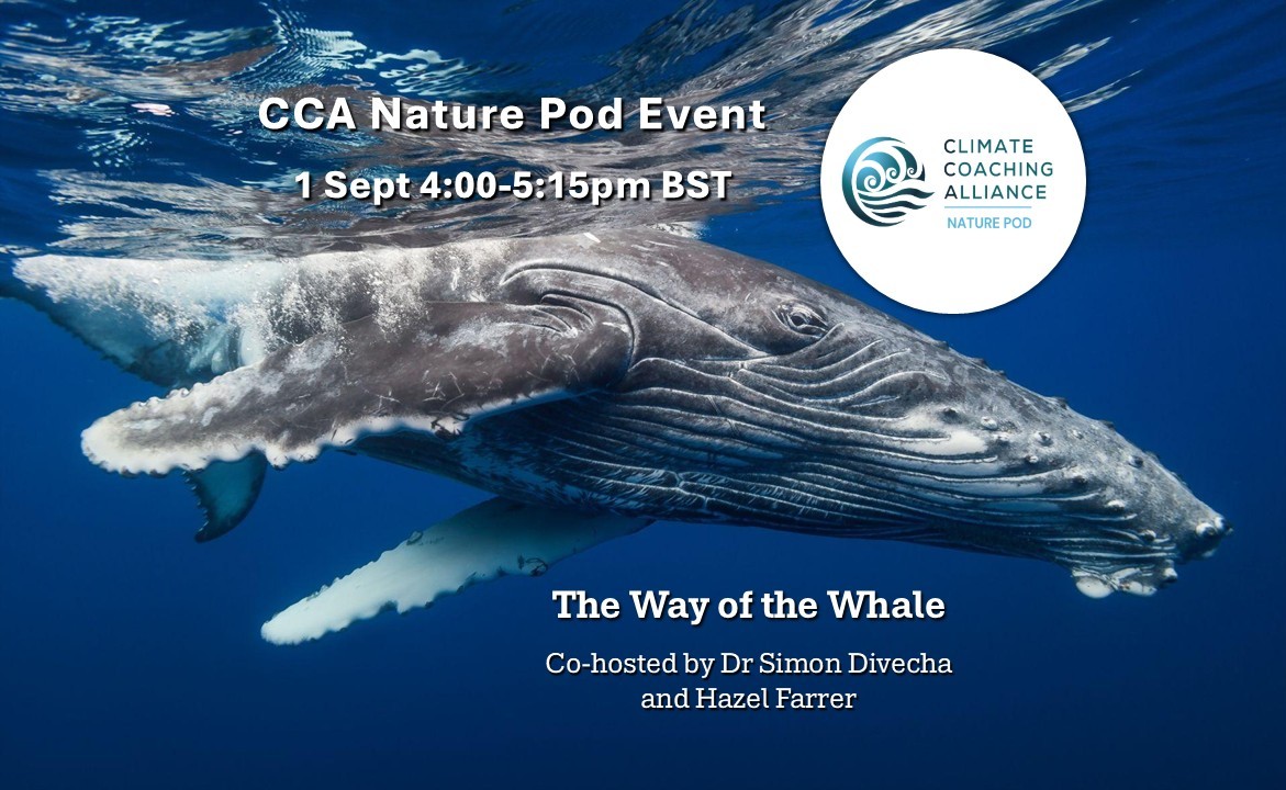 Way of the Whale
