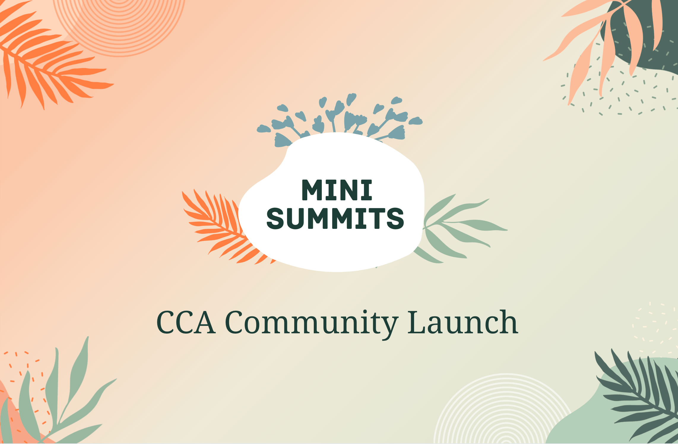 Mini Summits Community Launch