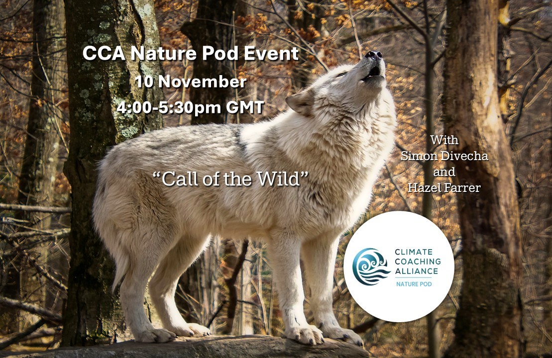 Call of the Wild